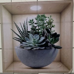 Meet your Posher, Thiago